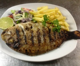 Dorade
