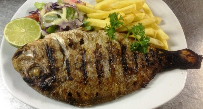 Dorade